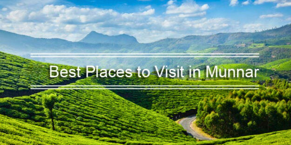 Best Places to Visit in Munnar