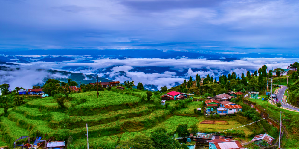 Darjeeling Holiday