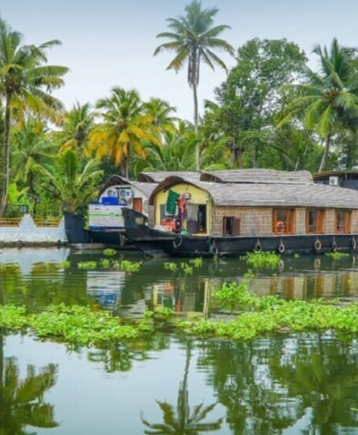 Discover the Magic of Kerala: Top Things to Do and Luxurious Accommodations