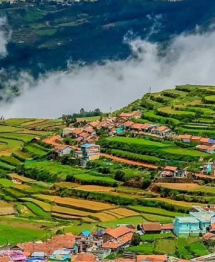 Discover the Charms of Ooty: A Guide to Activities and Accommodation